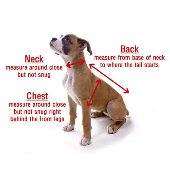 Pink Ruffled Mesh Step-In Harness - Picture 6 of 6